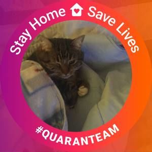 Meet your Posher, Karen